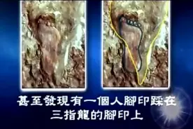 二亿多年前人类脚印竟然与恐龙时代足迹有重合视频封面