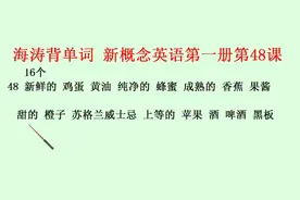 第48课Do you like……?你喜欢……吗？