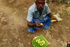 鸡肚子里还未成型的鸡蛋，印度老大爷这样煮一锅，吃的好香啊！
