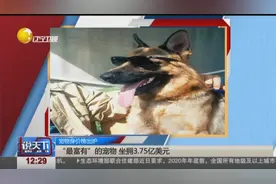 “最富有”的宠物！这只德牧坐拥3.75亿美元，折合人民币26亿