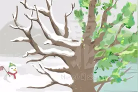 动画短片《南北》讲述一个北方姑娘在南方的故事，对比南北差异视频封面