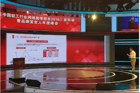 南方黑芝麻“黑广告”入列2015轻工业行业十大营销事件图片