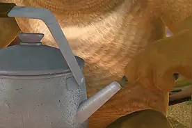 为什么光头强能听懂熊大熊二的，却听不懂肥波的