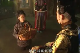 皇宫太臣没有看好的病天花 没想到芨芨草救了皇上玄烨的病