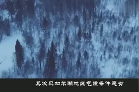 清朝时期康熙为何主动将贝加尔湖让给沙俄原因今天才知道视频封面