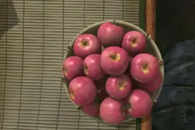 熊出没，吉吉国王装病骗吃骗喝居然还戏弄小伙伴，看一次笑一次！视频封面