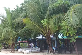 自由行初体验——菜鸟游泰国图片