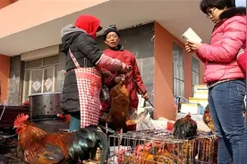 辛安大集年味浓 红火了500年图片