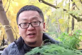 文竹冬天这样浇水不会烂根#文竹#抖音万物节生活美学专区视频封面