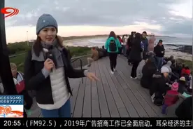 到澳大利亚“企鹅岛”，观赏野生动物，与大自然近距离接触视频封面
