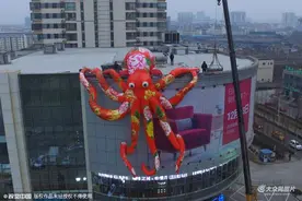 日照巨型章鱼穿“大花祆”吸睛图片