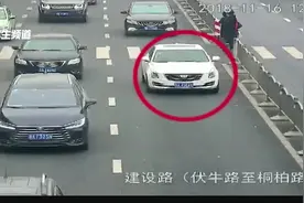 郑州部分路段抓拍 2000辆车被拍 只因未礼让行人视频封面