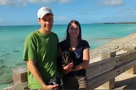 呆萌可爱：全世界有最多衣服的狗狗亮相图片