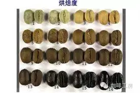 咖啡豆基础入门知识（一）图片