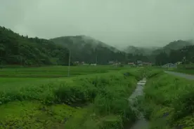 日本才女歌手YUI演唱！电影《小森林·夏》主题曲赏析