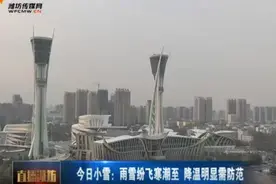 潍坊迎小雪寒潮将至 降温明显需防范