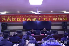 西藏山南市乃东区扎实开展区乡两级人大干部培训图片