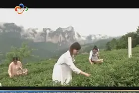 梁子湖大河蟹洪山菜薹入选湖北20强农产品视频封面