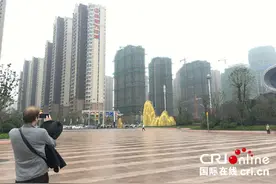 法国大V：大湖名城创新高地—生态合肥展现中国发展活力图片