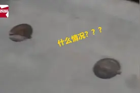 小区内110米路竟有96个井盖，业主：小朋友在井盖上玩“跳一跳”