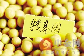 东北严打转基因：转基因种子流入东北谁是幕后黑手图片