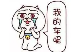 小电驴装上了这个，被偷也不慌！图片