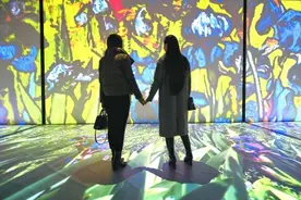 《星空》旋转《向日葵》怒放 梵高名画在汉“动”起来图片