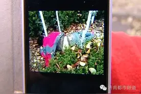 早报｜明天起济南7个路口开修，最长封3年！图片