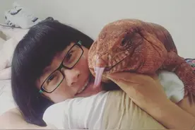 美华裔宠物巨蜥成“网红” 吃饭睡觉就拥百万粉丝图片