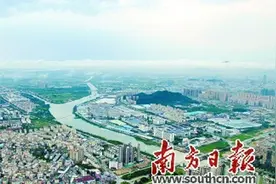 游泳评分标准出台图片