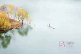 What？最低温只有2℃！衢州人快扛不住了！图片