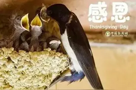 感恩于行，知恩于心图片