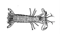 当心，杭州有些鱼虾吃药吃多了！部分水产摊位鱼虾药残超标图片
