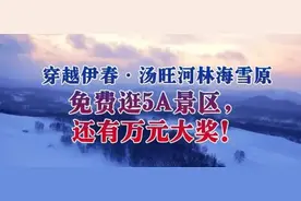 真实版“躲猫猫”！国外网友的找猫挑战，你能找到第几关？不服来战！图片