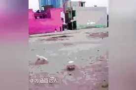 狗狗这辈子都不敢尿尿了吧图片
