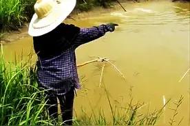 这捕鱼的工具不错，就是水里鱼不多了！图片