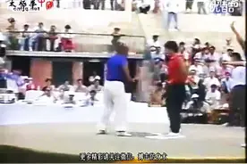 王战军陈家沟太极实战视频曝光图片