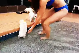 一群五周大的小狗第一次跟主人学游泳，这场面简直萌炸了！图片