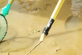 用电鱼设备在沙滩上到处电，这是在电什么好东西图片