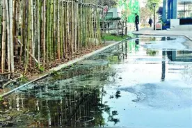 污水从地下涌出，地铁口臭味扑鼻图片