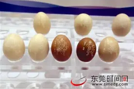 能在鸡蛋上雕花 一大波高端机器人“攻占”智博会图片