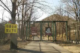 老虎袭人事件后续：家属起诉动物园 申请上级法院提级管辖图片