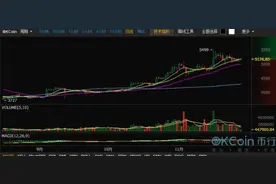 比特币要疯！诞生八年涨幅100万倍图片