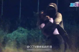 夜跑为何危机重重？美女教师曾命丧灌木丛图片