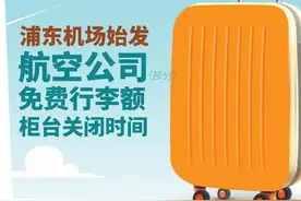「便民」16家航空公司免费行李额、办票时间一览！拿走不谢图片