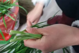 一招快速摘韭菜，关键还不会弄脏手！