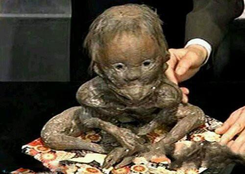 网易《阴阳师》八卦盘点:水鬼还是神灵 深扒河童的黑历史