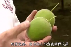 喝“罗汉果”之前，这些禁忌你应该要知道
