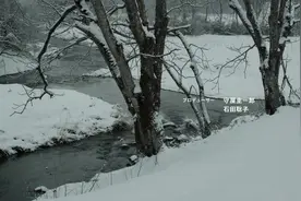 日本才女歌手YUI演唱！电影《小森林·冬》主题曲赏析