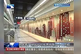 抢先看！武汉地铁六号线两特色站今日亮相视频封面